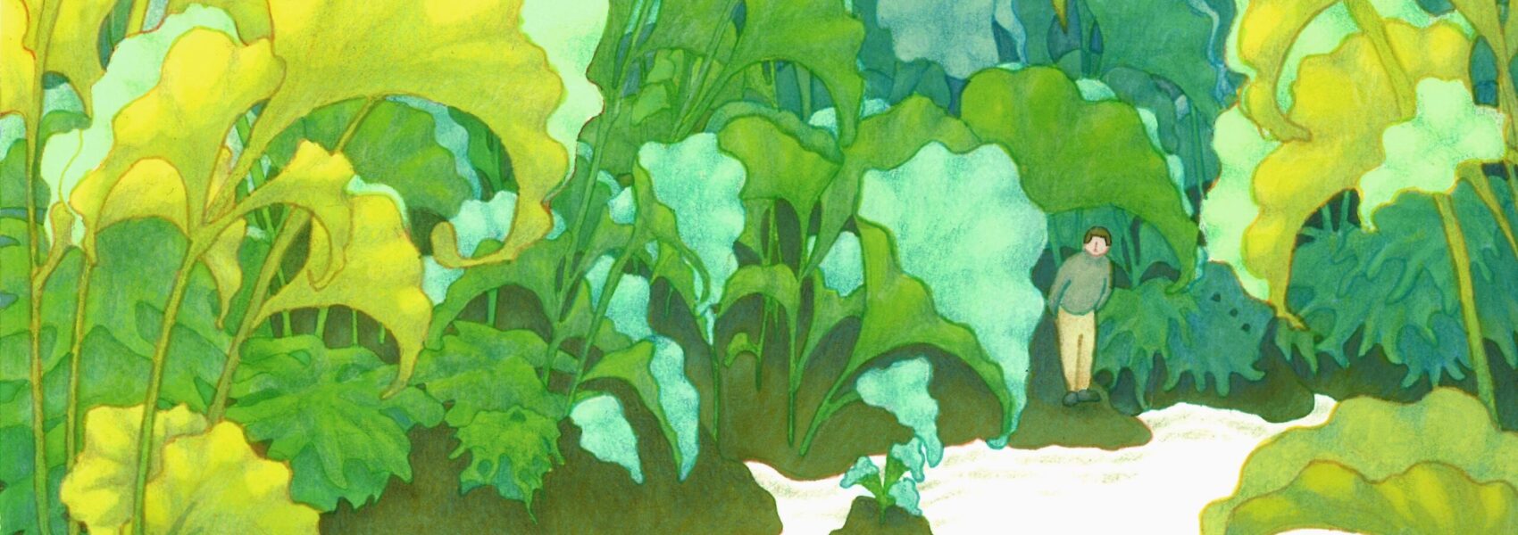 Grenouillette - un souvenir effacé